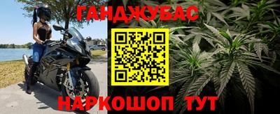 молекула духа Краснодар
