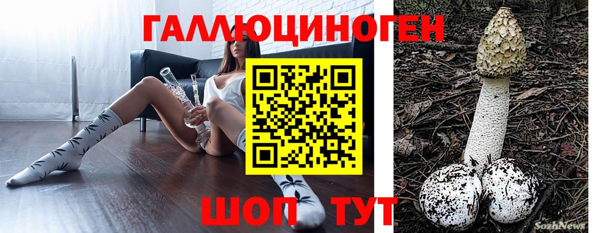 Черногорск  закладки  Вход с VPN  Псилоцибиновые грибы Cubensis  Псилоцибиновые грибы ЛСД 