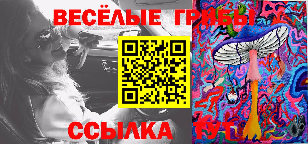 Псилоцибиновые грибы Psilocybe Черногорск